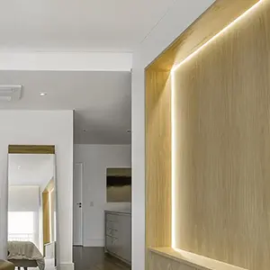 LED trake